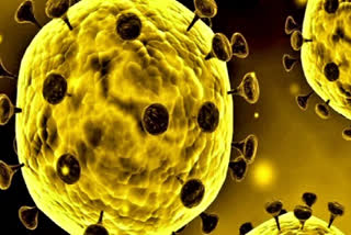 coronavirus case in jharkhand