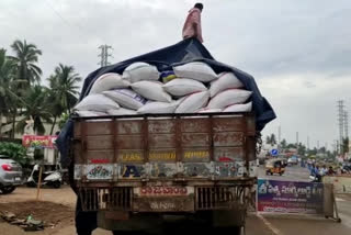 Ration rice harvesting in Peravali West godavari district