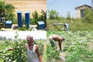 irrigation-make-farmers-happy-in-angul