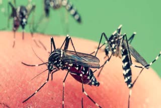 nuh health department preparation for cause of malaria