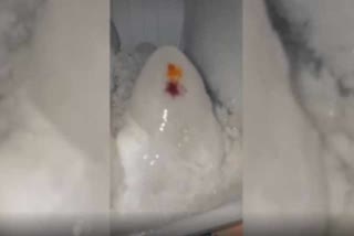 snow formed in freezer appears like ling