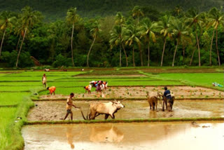 ಭೂ ಸುಧಾರಣೆ ಕಾಯ್ದೆ