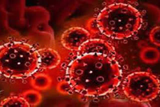 ambala new corona virus case update