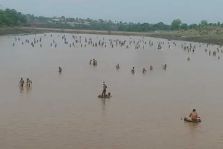 Hundreds of people landed in Anas river fishing in jhabua