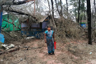 Kashid beach Small business collapsed due to nisarg cyclone