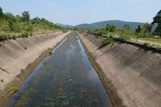 water to be left from chandil dam, खेतों को पानी देने चांडिल डैम से कैनाल में छोड़ा जाएगा पानी