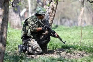 Three terrorists killed down in Shopian