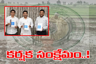 ap-government-socio-economic-survey