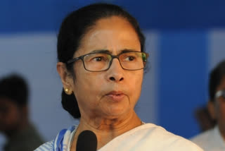 Mamata