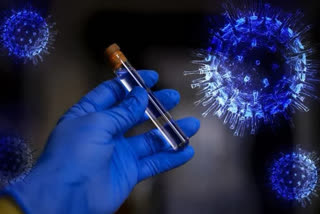 ബ്രസീൽ കൊവിഡ് 19 ബ്രസീലിയ Brazil coronavirus climbs to 888,271