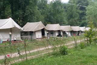 fruit businessmen in Kullu