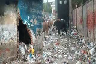 Garbage dump in hastsal village in Uttam Nagar at delhi