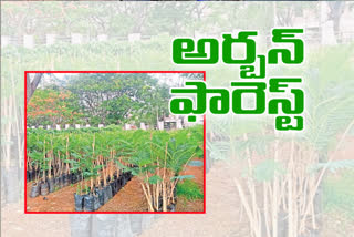 urban forests in Hyderabad city outskirts