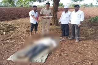 farmer commited  suicide in basavkalyan
