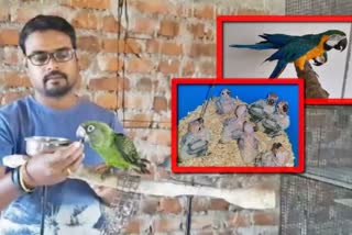 dhenkanal-man-quite-job-for-birds-collection