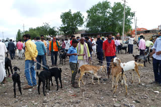 social distance failure in sheep market at  vijayapura