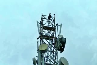 thief climbs into the tower and tries to save his life bilasipara Dhubri assam etv bharat news