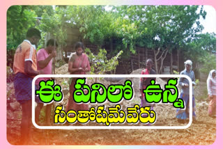 Minister Errabelli's wife works at their farming fields in the Warangal Urban District