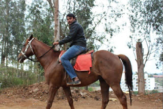 Actor Darshan is doing animal service at his farmhouse