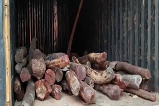 Smuggler arrested with two tons of sandalwood in jhajjar