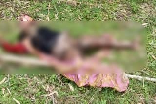 woman dead body found in dunka, Suspicious death of woman in dumka, News of Dumka Jama police station, दुमका से महिला का शव बरामद, दुमका में महिला की संदिग्ध मौत, दुमका जामा थाना क्षेत्र की खबर