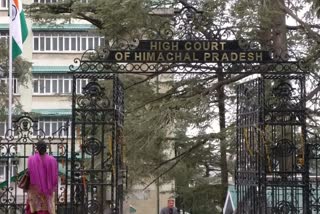 himachal high court