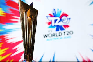 T20 world cup