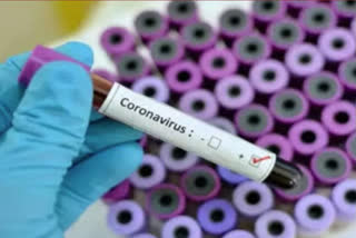 sonipat latest coronavirus case update