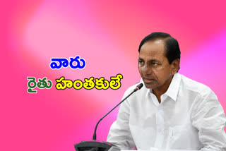 CM kcr met with collector in hyderabad on tueday