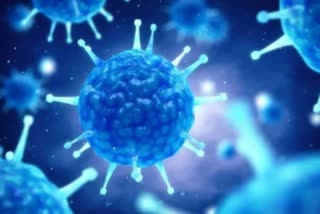 An analysis Story on Coronavirus confirm testings in India