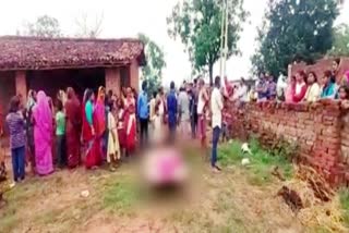 Stray dogs killed a child in Giridih