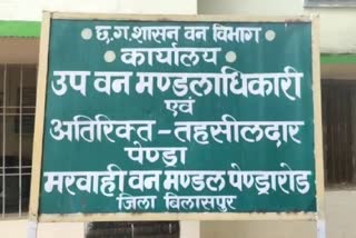 forest department