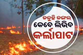 unsafe-karlapat-sanctuary-in-kalahandi