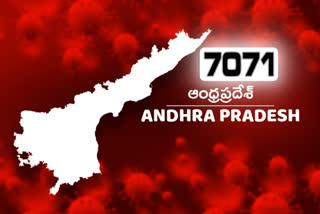 351 new corona cases conformed in ap