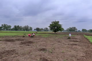 Farmers preparing for farming