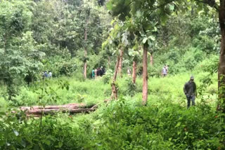 Family compensation for youth killed in tiger attack in Wayanad  വയനാട്ടിൽ കടുവ ആക്രമണത്തിൽ കൊല്ലപ്പെട്ട യുവാവിന്‍റെ കുടുംബത്തിന് നഷ്ടപരിഹാരം നൽകും