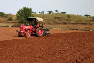 The sowing work started with the first rain,happiness on farmers' faces