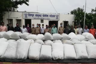 ganja seized from local crime branch in shirpur taluka Dhule