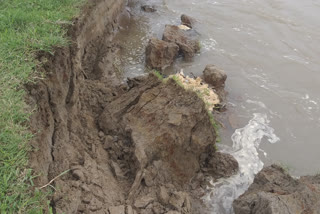 massive river erosion in biswanath