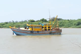 fish hunting starts in guntur