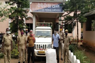 cannabis-smuggling-in-kandhamal-2-arrested