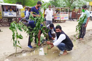 congressmen-planted-a-besharam-tree-in-sewer-lines-dug-by-rewa-municipal-corporation