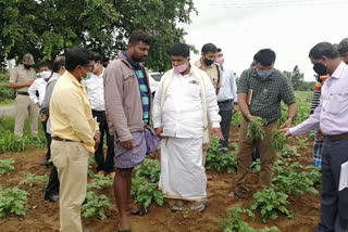 Minister K. Gopalya visited to the farmer's lands  in hassan