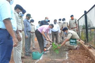 police department did plantation