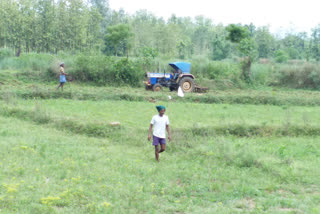 Tractor plucking for kharif season crop