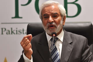 Ehsan Mani