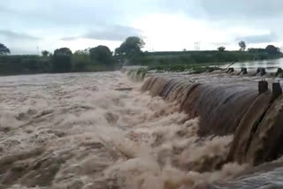 heavy rain kolhapur  kolhapur latest news  kolhapur rain news  kolhapur dam water level  कोल्हापूर पाऊस बातमी  कोल्हापूर लेटेस्ट न्यूज  कोल्हापूर धरण पाणीपातळी