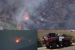 Wildfires burn in Arizona national forests