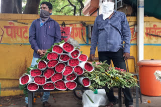 pune flower market reopen from today