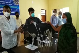 Women get grant for cow rearing in koderma